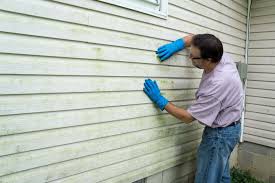 Best Vinyl Siding Installation  in De Leon, TX